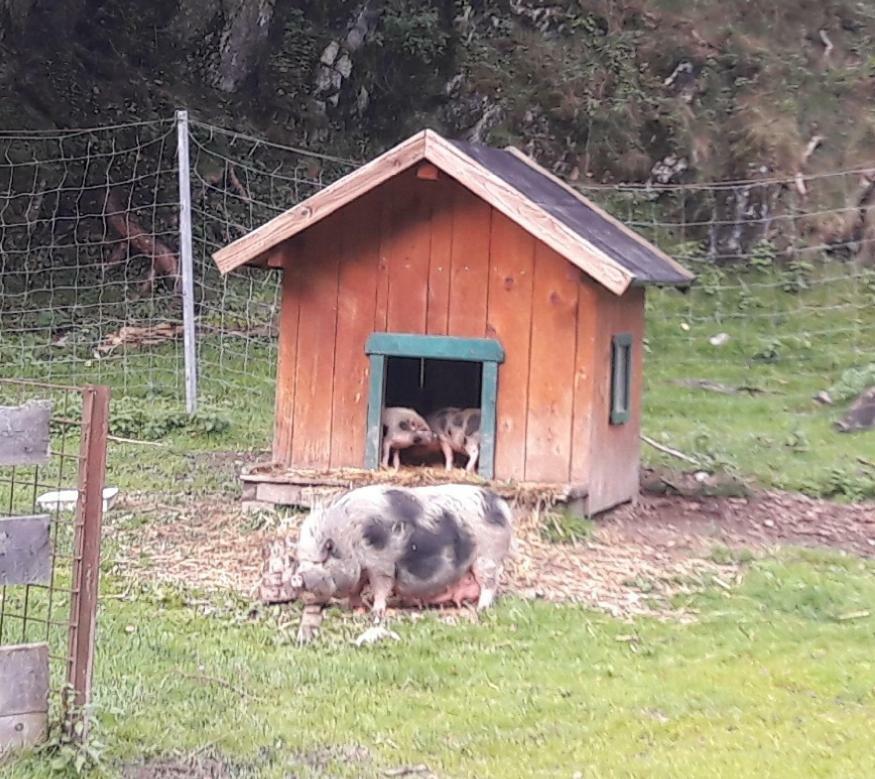 Ferienwohnung Alpklang Untertauern Kültér fotó